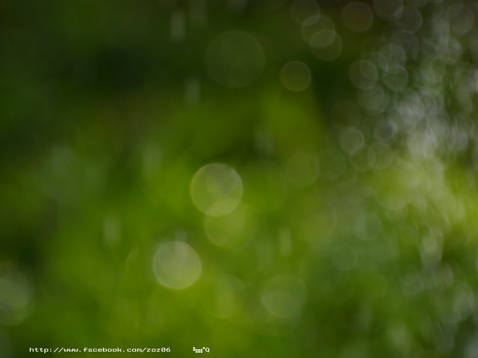http://i.dcview.tw/gallery/201105/de9911928a3666082472abe8f97467b7.jpg