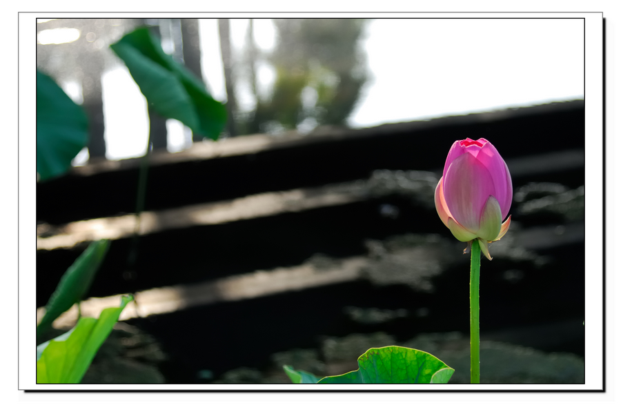 http://i.dcview.tw/gallery/201105/e53248635ff22722fc1f07c717514ce4.jpg