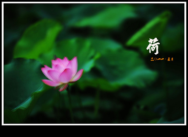 http://i.dcview.tw/gallery/201105/e60a8ede978a575f86e51604a92c5b5d.jpg