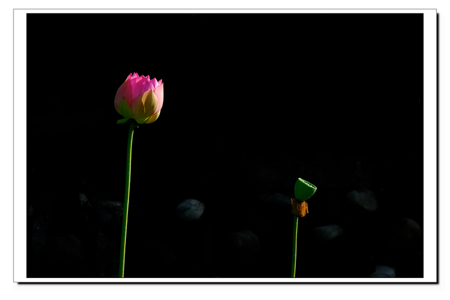 http://i.dcview.tw/gallery/201105/f0fa1ff1e55171d76a8797f7900a624b.jpg