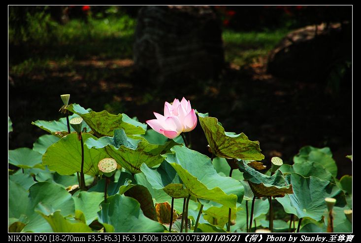 http://i.dcview.tw/gallery/201105/f107b5b42d4691f0a3f451cd5d52d371.jpg