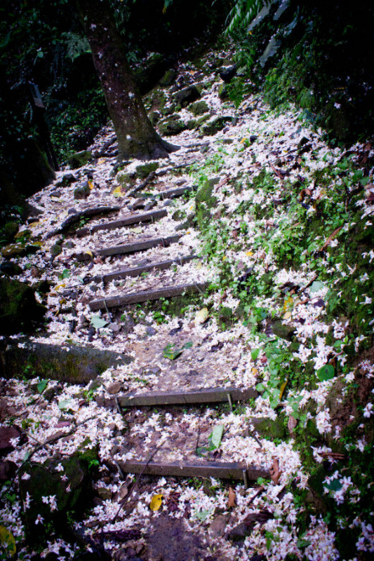 http://i.dcview.tw/gallery/201105/f52ae52122f77a08876bf1a21c0bb25a.jpg