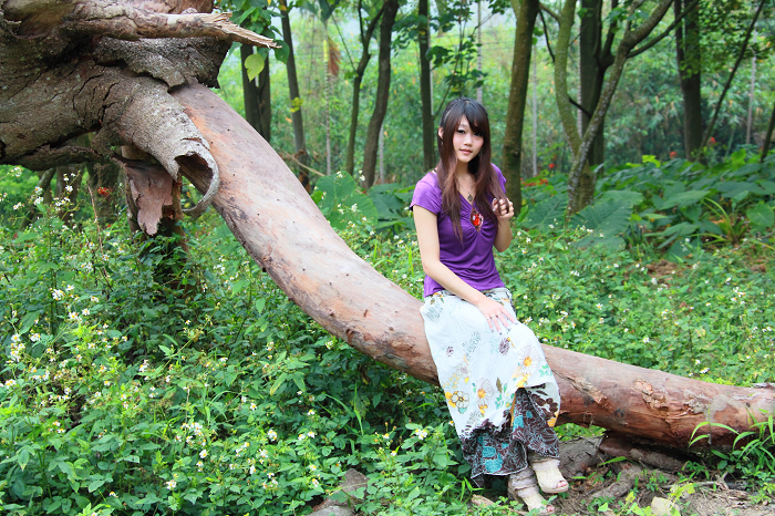 http://i.dcview.tw/gallery/201105/f9833d3f599bb667cd2ff851de270fb2.jpg