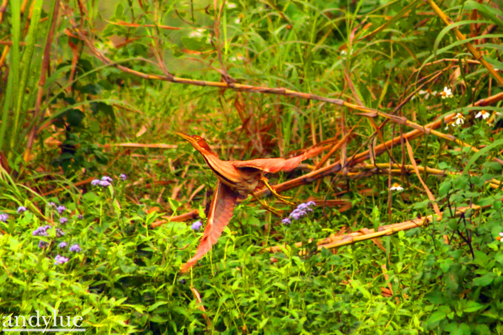 http://i.dcview.tw/gallery/201105/fd6d69f30ef3f3303a3a4ccc8e7cdd86.jpg