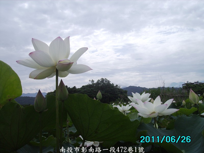 http://i.dcview.tw/gallery/201106/01ba056ffa4c1d4f5b8f00ce189681d3.jpg