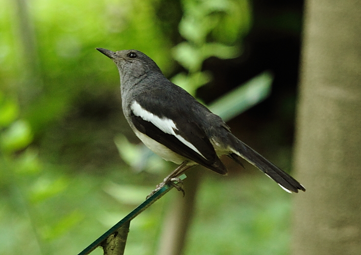 http://i.dcview.tw/gallery/201106/021a7285d07997cc3a8c7e708207e922.jpg