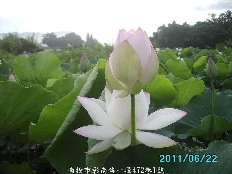 http://i.dcview.tw/gallery/201106/0336aed634a3d518cd0f7c13e9fa9a77.jpg
