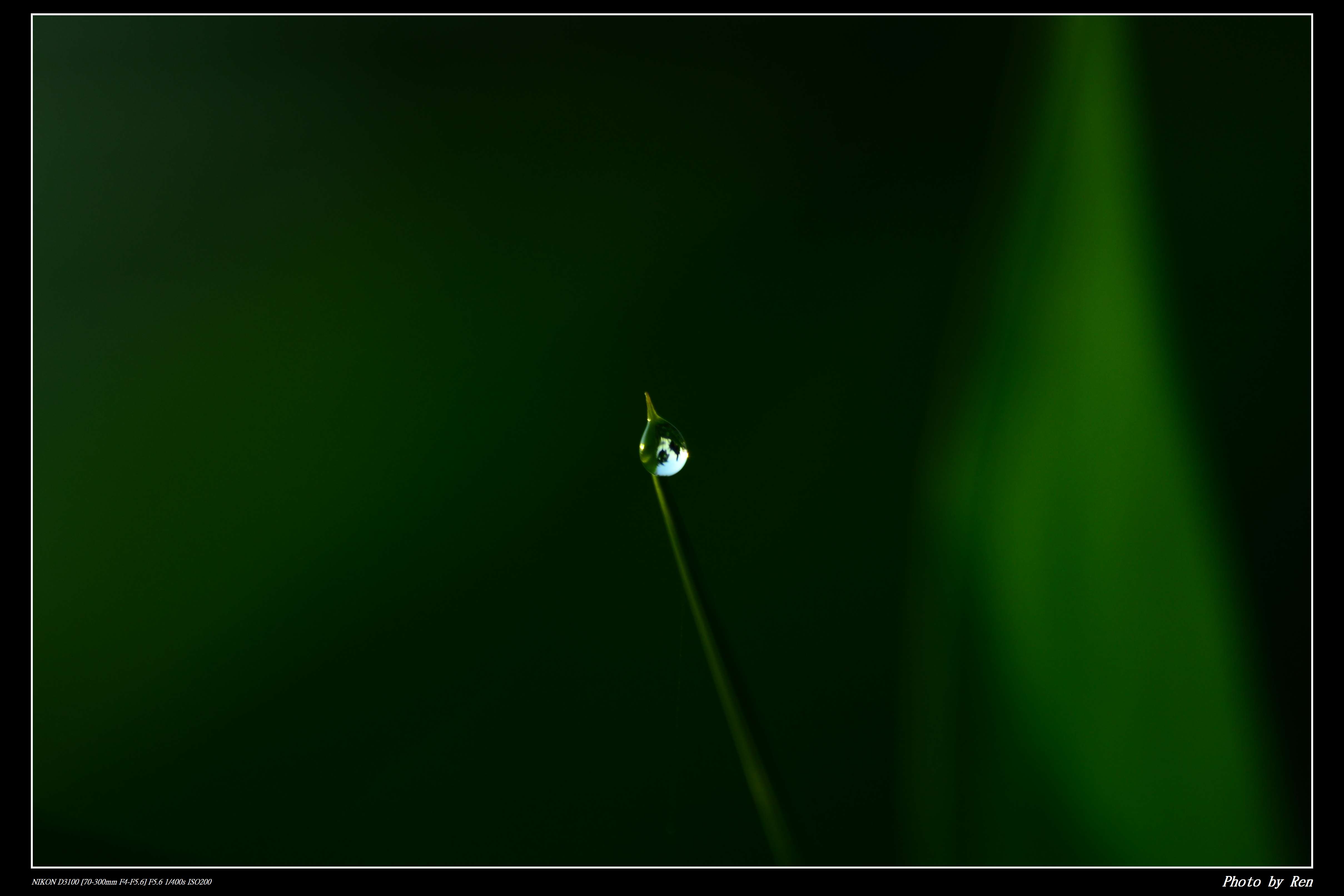 http://i.dcview.tw/gallery/201106/03c0a17bcd8ae6c92b12e0fca593f636.jpg