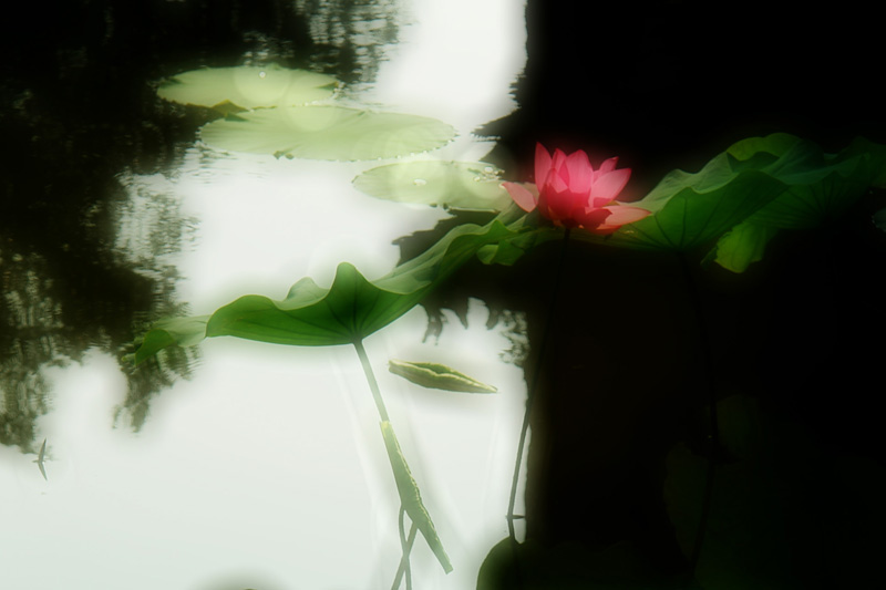 http://i.dcview.tw/gallery/201106/05910fcd70fd9025922c46c01e89682c.jpg
