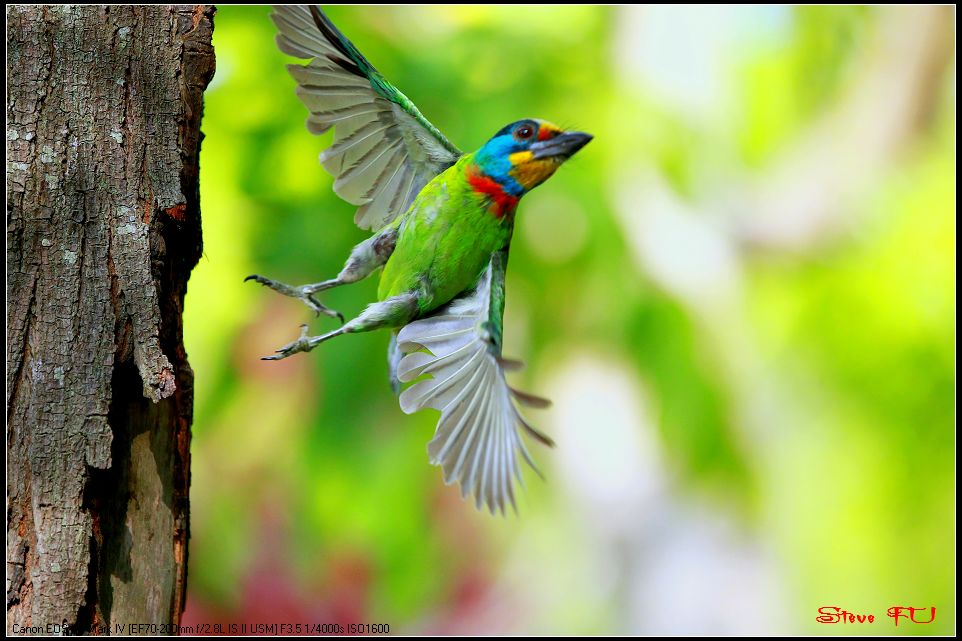 http://i.dcview.tw/gallery/201106/064da0c5da5b57fbed34b4144d178c6c.jpg
