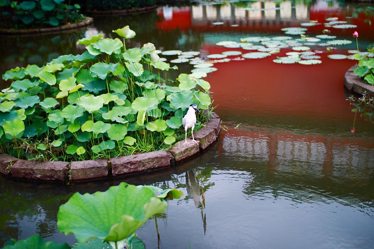 http://i.dcview.tw/gallery/201106/09e2722f13c6ff9a91decceefc88675f.jpg