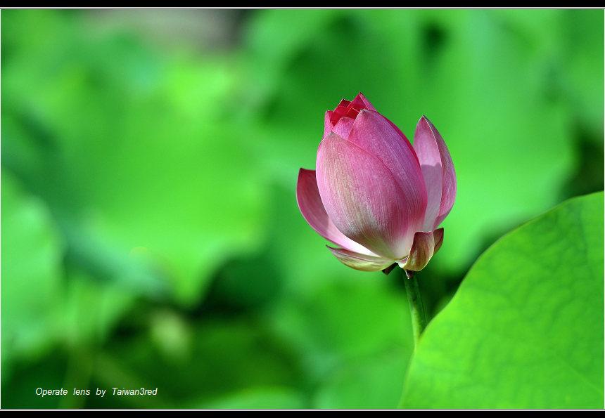 http://i.dcview.tw/gallery/201106/09f0835e1afbd5ad2496f130ab3c0511.jpg