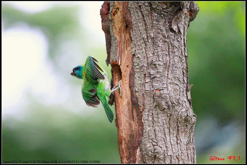 http://i.dcview.tw/gallery/201106/0a9c1515e553991e13627cdeb13e1301.jpg