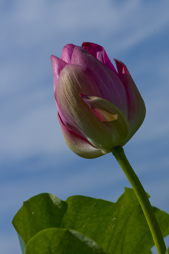 http://i.dcview.tw/gallery/201106/0c66d37948b004bfeae4f3ca47a4075e.jpg
