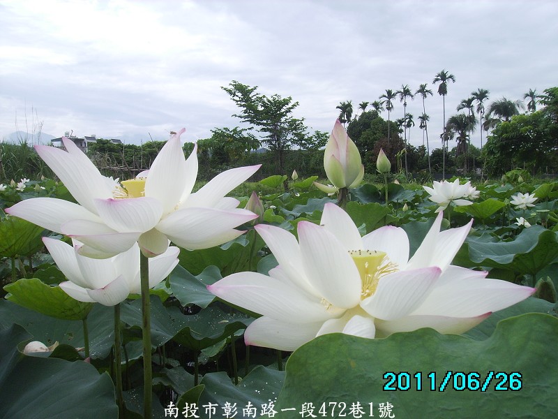 http://i.dcview.tw/gallery/201106/1314ddb282eb3650ac201fcf0f0a34c3.jpg