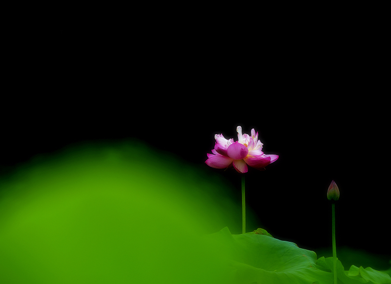 http://i.dcview.tw/gallery/201106/168624b7a2a1f086c393993f72e93f51.jpg