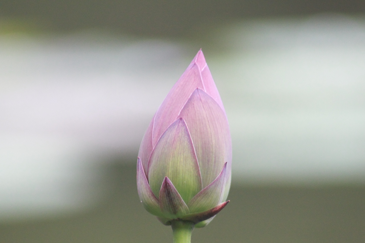 http://i.dcview.tw/gallery/201106/16b7cca2f95d59a8313d3cea85ee32ec.jpg