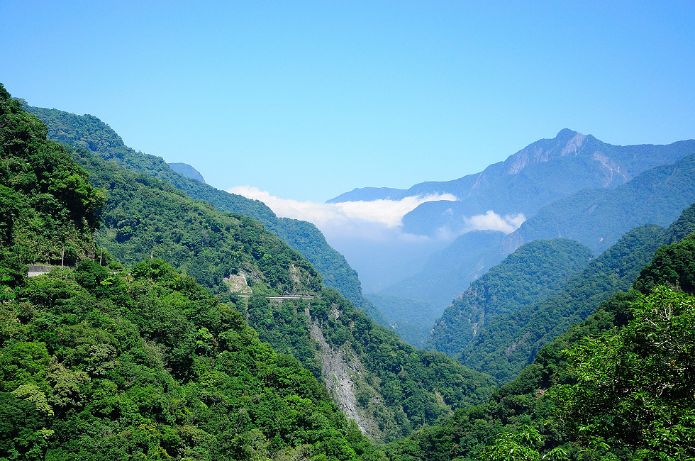 http://i.dcview.tw/gallery/201106/176d2644b09bca1391cdbe447acb014d.jpg
