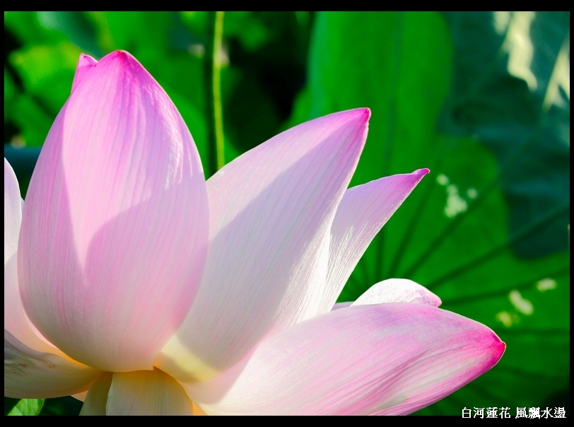 http://i.dcview.tw/gallery/201106/194a5228dcdde8ff282bab79c1364d2f.jpg