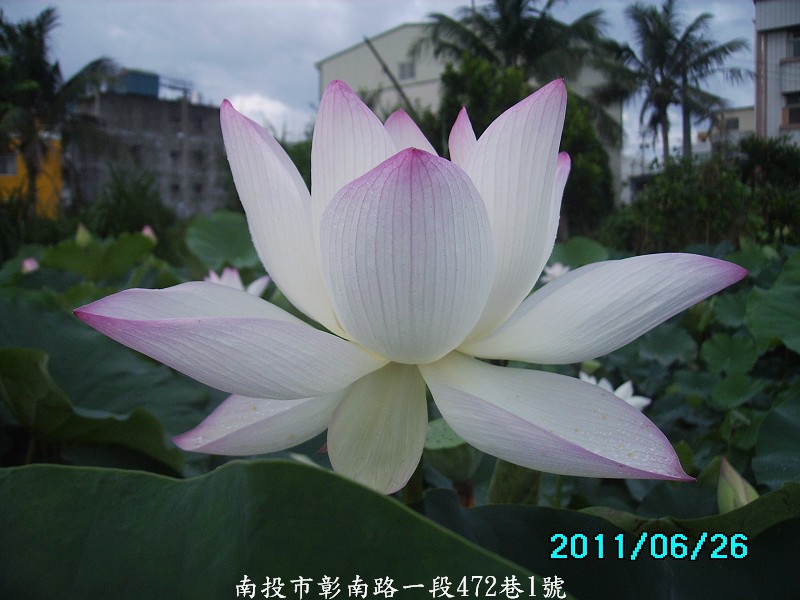 http://i.dcview.tw/gallery/201106/1ac75738011ba4f80209fd974ce485d7.jpg