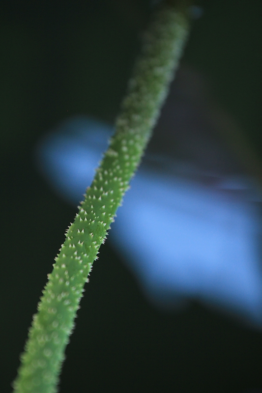 http://i.dcview.tw/gallery/201106/1b60813441d41ad61c9a28cd370a8365.jpg