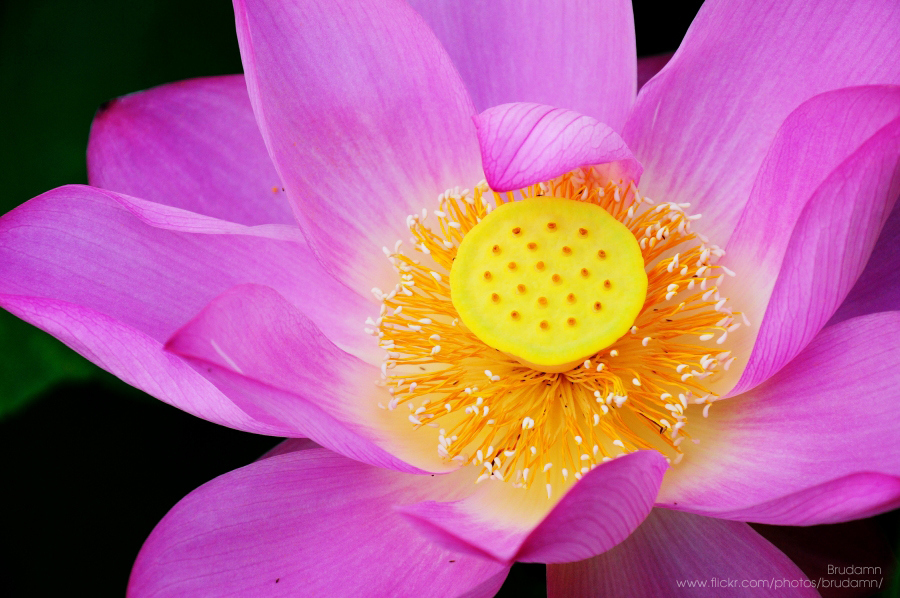 http://i.dcview.tw/gallery/201106/1bbb37512f9a27e99bb3a832f86db78b.jpg