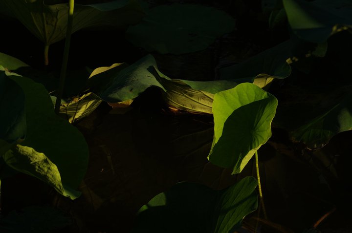 http://i.dcview.tw/gallery/201106/1c98511a8af5f6c63e661cb7b4fcf4c3.jpg