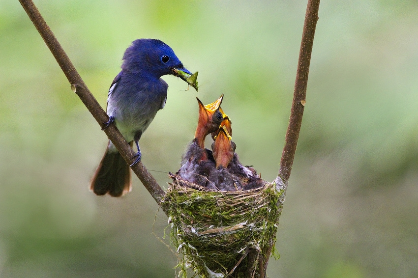 http://i.dcview.tw/gallery/201106/20480f3fbba54f68b69be7fc401c6280.jpg