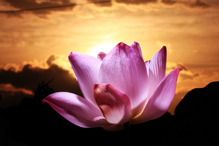 http://i.dcview.tw/gallery/201106/27dcbd723d7f139328ca4e343db4ec65.jpg