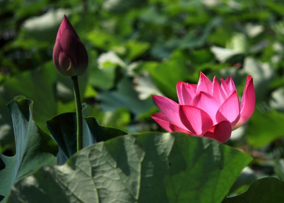 http://i.dcview.tw/gallery/201106/2a91c18cc9c05a0273533820b808e83b.jpg