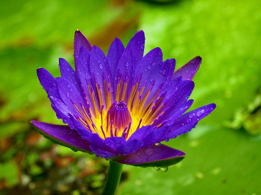 http://i.dcview.tw/gallery/201106/2cb5ccfdfa9c565117b63cdfb7a715bd.jpg