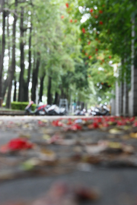 http://i.dcview.tw/gallery/201106/2e3e46a742202da2f7ea419f927fc01b.jpg