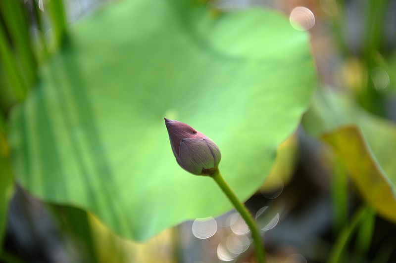 http://i.dcview.tw/gallery/201106/2fcd485e7a79ce4b12c69b9ff3e67f88.jpg