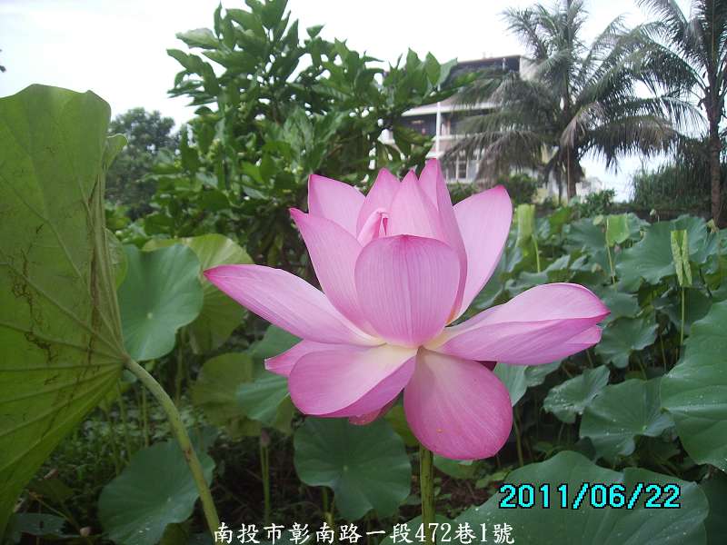http://i.dcview.tw/gallery/201106/30864e7db55b4c6a04b8fcbca910d60a.jpg