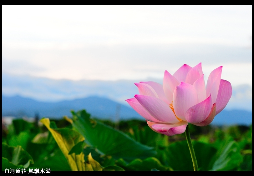 http://i.dcview.tw/gallery/201106/341cf7b191f5131e9b75217285536d36.jpg