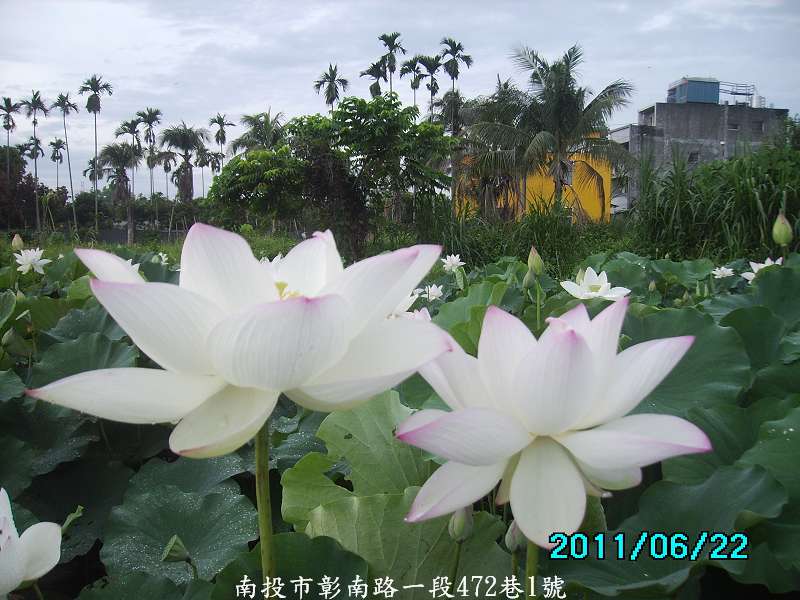 http://i.dcview.tw/gallery/201106/39d0079e7d39086fbd75c8792e1045b9.jpg