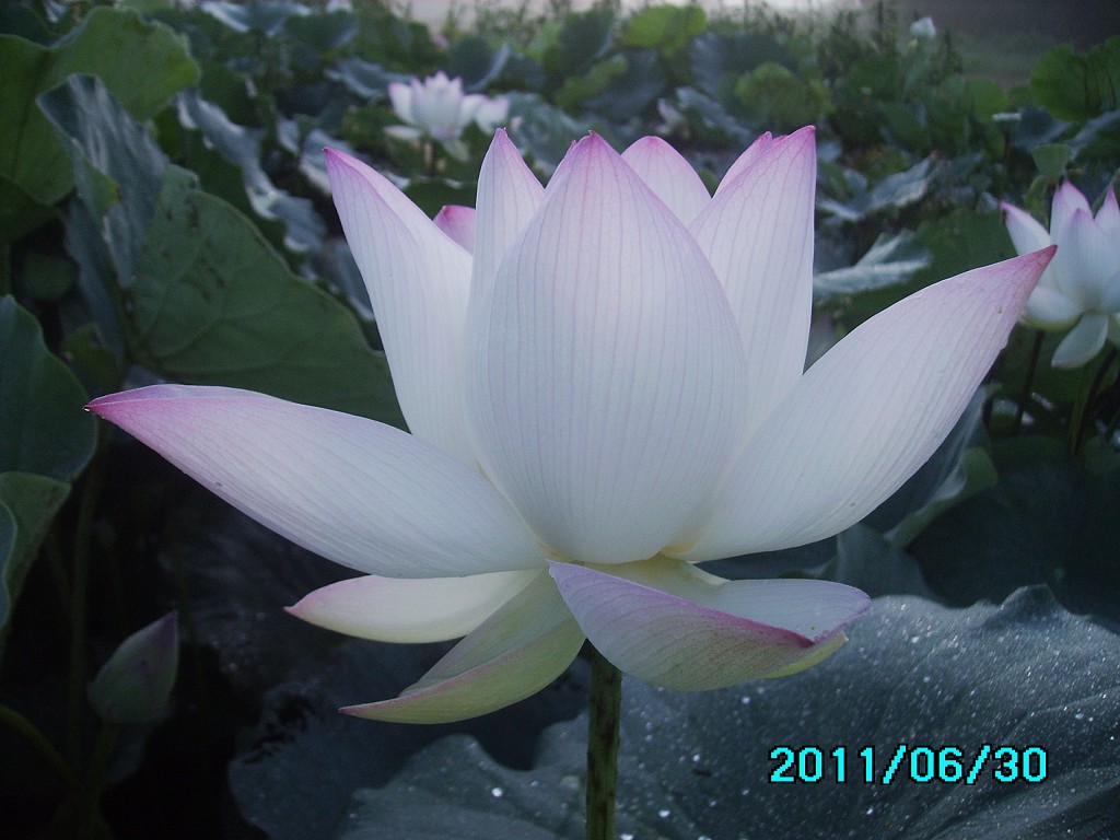 http://i.dcview.tw/gallery/201106/3bfbc8459f5686e768ecec55f3df0d7d.jpg