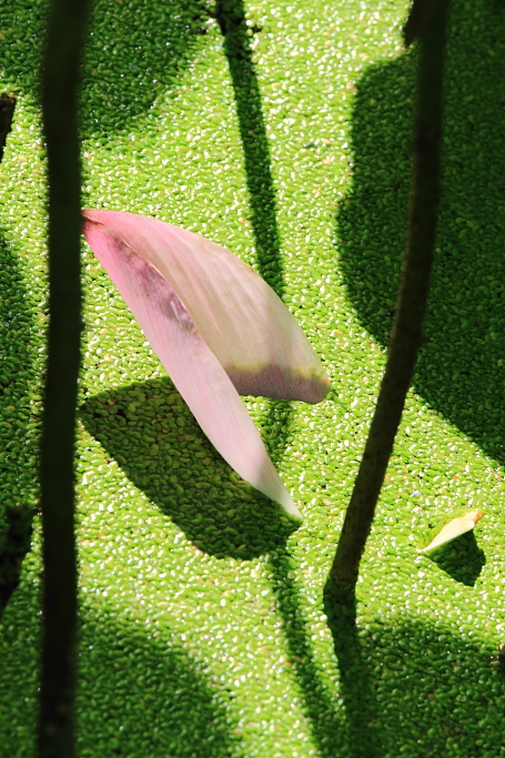 http://i.dcview.tw/gallery/201106/3c534341f6c52f7b27ef73861c8750a5.jpg
