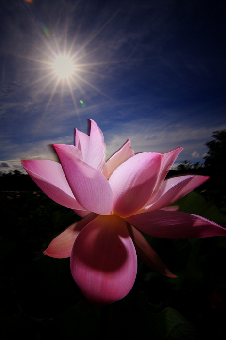 http://i.dcview.tw/gallery/201106/3d9ce6e46536fd0f291eb8a89271bd1c.jpg