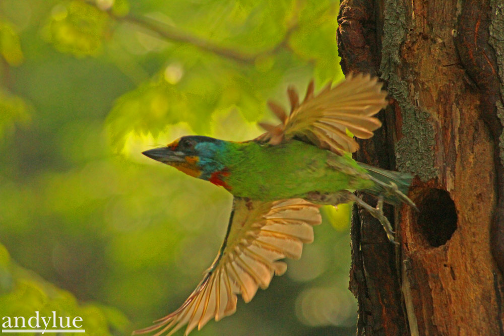 http://i.dcview.tw/gallery/201106/42f30cf543ff59008c0488cc1f71aa06.jpg
