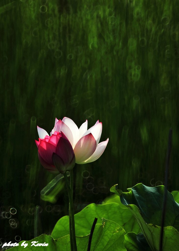 http://i.dcview.tw/gallery/201106/4472fefcebccb80ffd3b573fa8df6c08.jpg