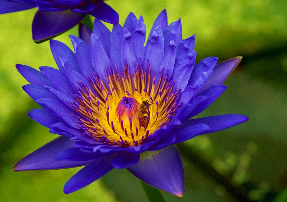 http://i.dcview.tw/gallery/201106/44841065b7fa369994067f8cb746255c.jpg
