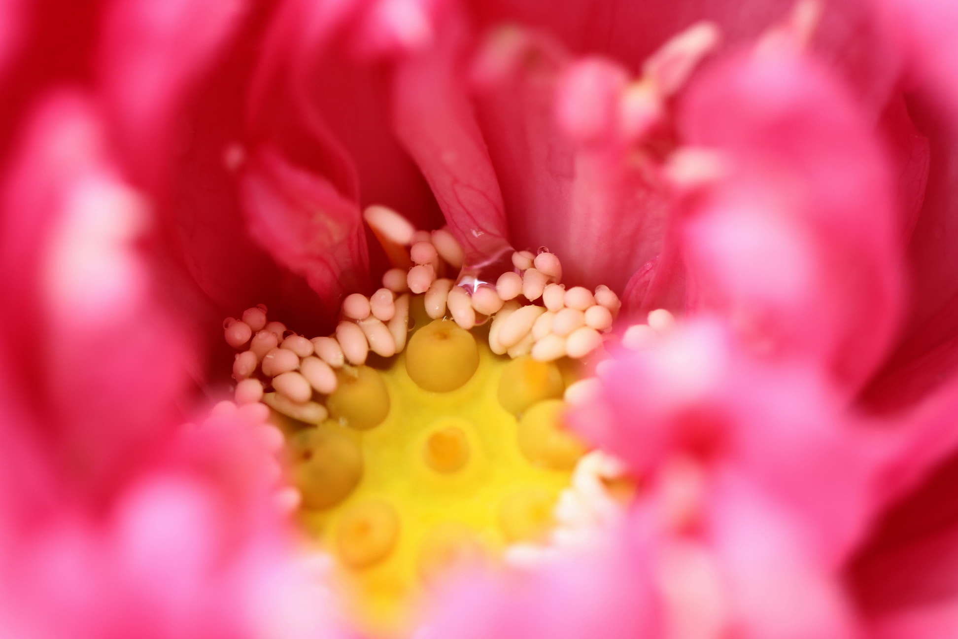 http://i.dcview.tw/gallery/201106/48ca19de1ced610369e345db50110f2a.jpg