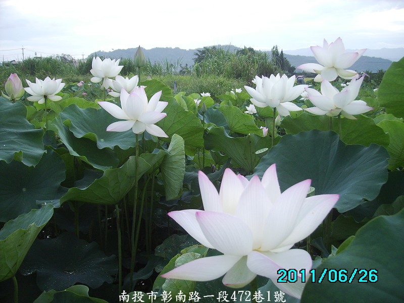 http://i.dcview.tw/gallery/201106/49c5dd7348008328bc857c84e7ff633b.jpg