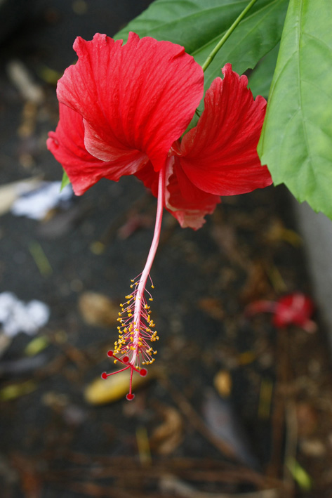 http://i.dcview.tw/gallery/201106/4a12034a256d508d1fe23314374fb91d.jpg