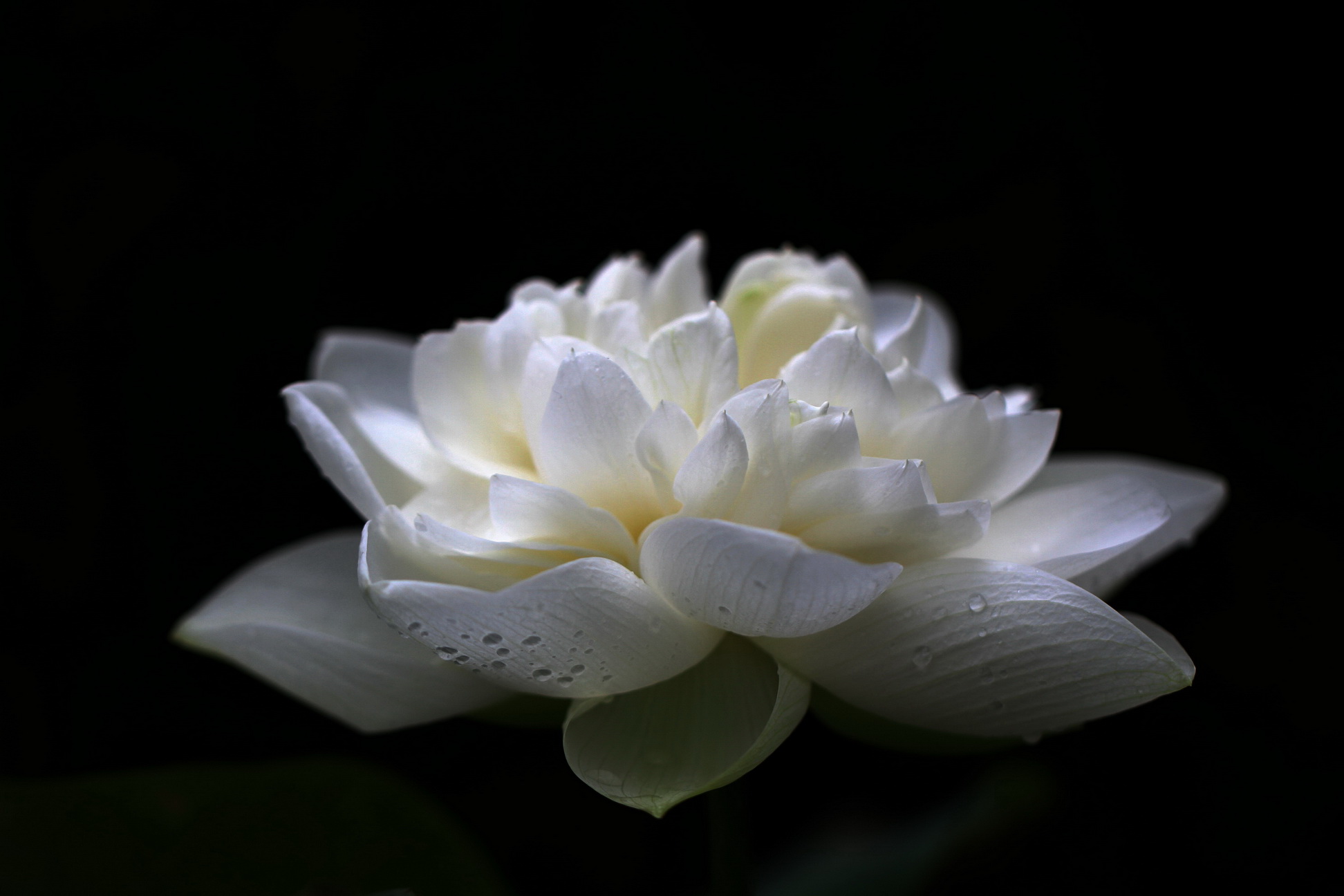 http://i.dcview.tw/gallery/201106/4d5dbd724c2143fef13df5e70db184b9.jpg