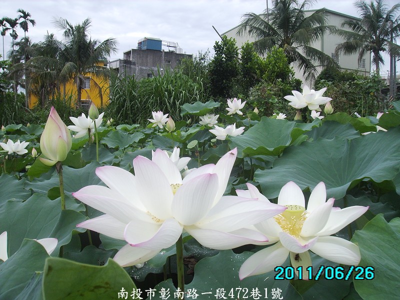 http://i.dcview.tw/gallery/201106/4ddbdf9dc2fac01369e01f6d557e7748.jpg