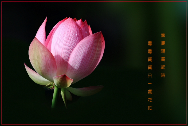 http://i.dcview.tw/gallery/201106/4ec3dfb401fcbc94f185473f9f008318.jpg