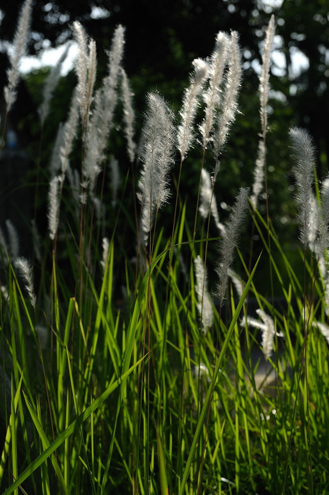 http://i.dcview.tw/gallery/201106/4f6cb5fe93403a96be6f52d623a9db4c.jpg