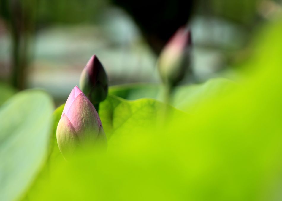 http://i.dcview.tw/gallery/201106/505eeea98de39e1e4ab97fe44aa0705c.jpg